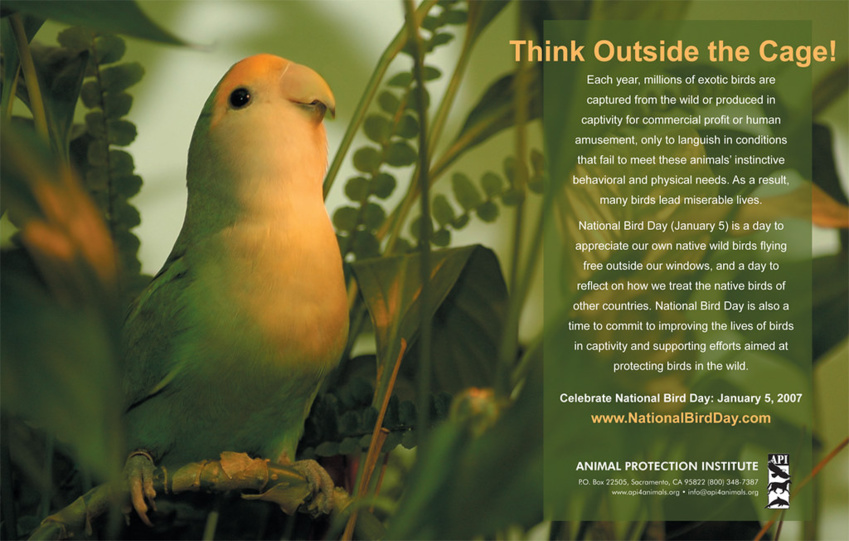 Sustainable Forest Restoration: Protecting Bird Habitats in the Mississippi Alluvial Valley with International Paper's Partnership Sustainable Forest Restoration: Protecting Bird Habitats in the Mississippi Alluvial Valley with International Paper's Partnership