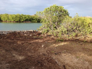 Chinese Developers threaten Antigua’s Marine Ecology