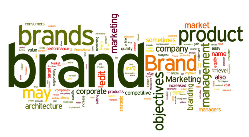 Sustainability Study: Impact and Strategies for Consumer Brands