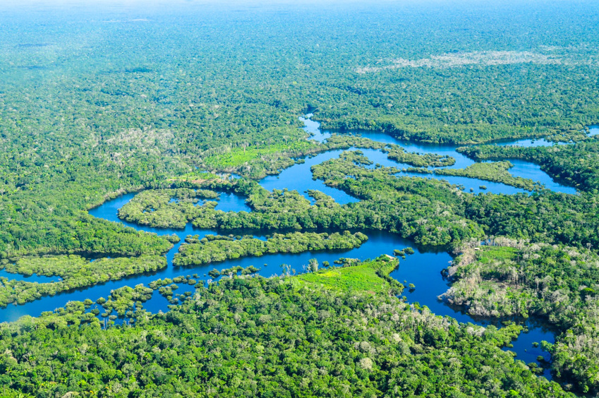 Empowering Indigenous Leadership: Vision for a Resilient Amazon Ecosystem