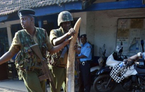 The proliferation of the illegal sale of small arms is triggering the butchery of wildlife in Africa
