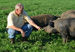 Whole Foods Market Receives Global Commendations for its Efforts on Animal Welfare