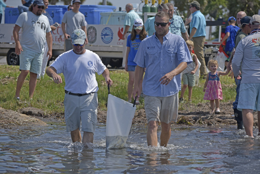 Redfish Restoration: CCA Florida Partners with Duke Energy for Conservation Efforts in Bay County, Florida Redfish Restoration: CCA Florida Partners with Duke Energy for Conservation Efforts in Bay County, Florida
