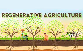 Regenerative Agriculture and Sustainability: Preserving Earth's Ecosystems with Griffith Foods