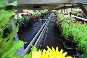 WaterPulse Irrigation Mat Replaces Walmart Associates