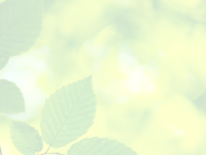 Award Ceremony To be Held by Leumi For CSR Activities