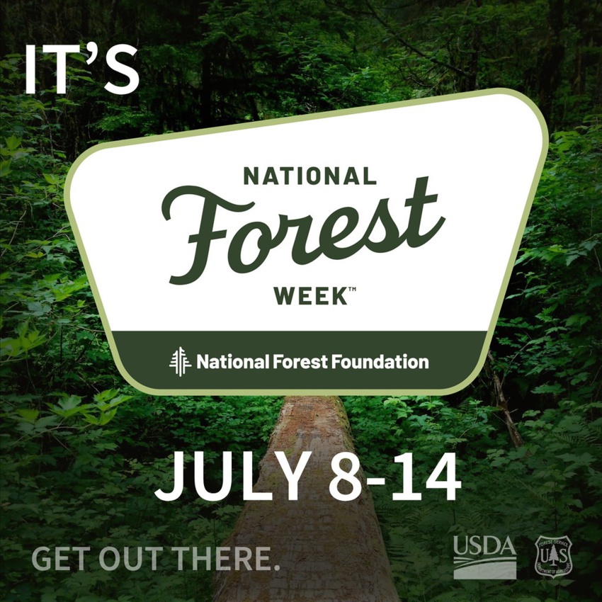 National Forest Week: Celebrating Conservation and Community Benefits National Forest Week: Celebrating Conservation and Community Benefits