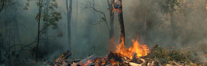 Understanding Physical Climate Risks in Investment Strategies Understanding Physical Climate Risks in Investment Strategies