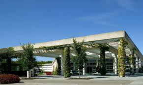 Advancing Natural Gas Engines: Turbocharger Innovations for Cleaner Transportation Advancing Natural Gas Engines: Turbocharger Innovations for Cleaner Transportation