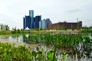 Dow And Nature Conservancy Report Stresses On The Importance Of Green Infrastructure In Asset Management Strategy