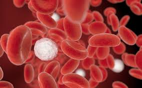 Revolutionizing Blood Cancer Diagnosis with Whole-Genome Sequencing Revolutionizing Blood Cancer Diagnosis with Whole-Genome Sequencing