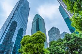 The Role of Social Sustainability in Sustainable Finance The Role of Social Sustainability in Sustainable Finance