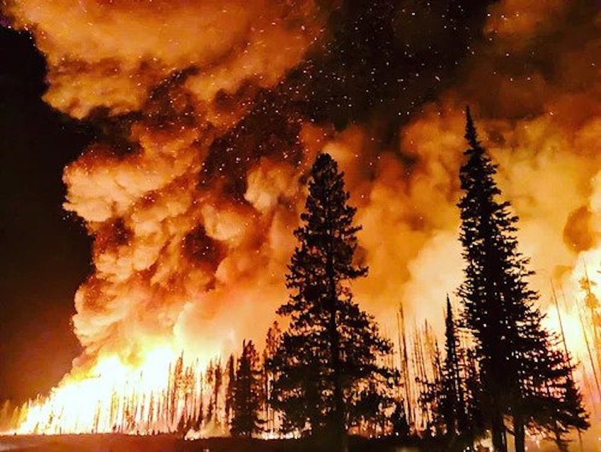 Eaton Unveils HiZ Protect for Advanced Wildfire Prevention & Grid Safety