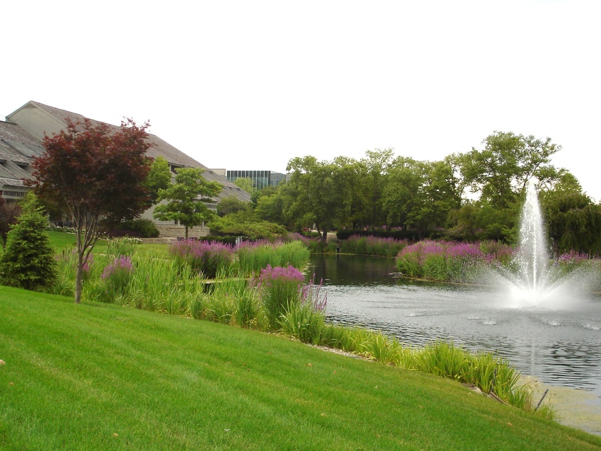 ScottsMiracle-Gro: Advancing Water Conservation & Sustainable Landscaping ScottsMiracle-Gro: Advancing Water Conservation & Sustainable Landscaping