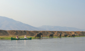 Zambia Creates World’s First ‘Carbon Neutral National Park’