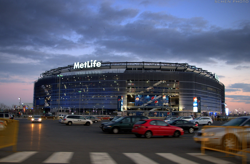 MetLife Advances Sustainability with Digital Solutions, Tree Planting, and Disaster Support