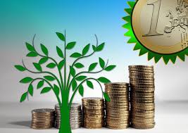 Trellis Impact 25: Uniting VERGE, Bloom & GreenFin for Global Sustainability Innovation Trellis Impact 25: Uniting VERGE, Bloom & GreenFin for Global Sustainability Innovation