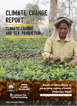 Tata Global Beverages Presents a Future Climate Projection On Tea Production 