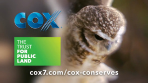 Nominees Are Invited For ‘Cox Conserves Heroes’ Awards