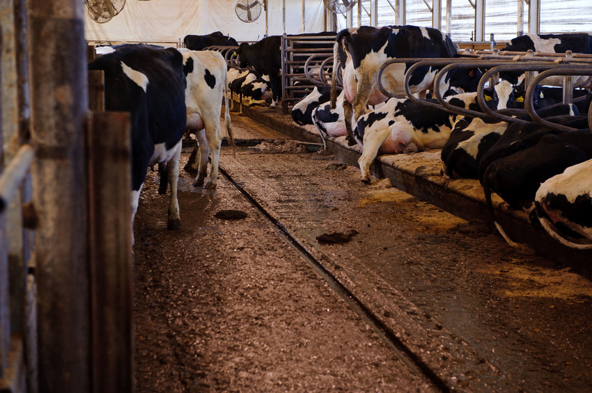 PSIC Provides $45 Million Financing to Novilla RNG for Dairy Renewable Gas Expansion