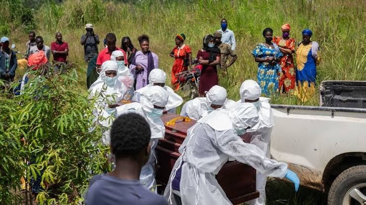 Decoy Therapeutics Reports Promising Ebola Activity for Broad-Spectrum Antiviral Candidate