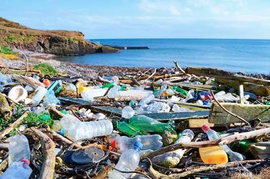 Iron Software Partners with Seven Clean Seas for Thailand Plastic Cleanup