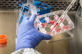 Aureka Biotechnologies Raises $100M to Advance AI Drug Discovery