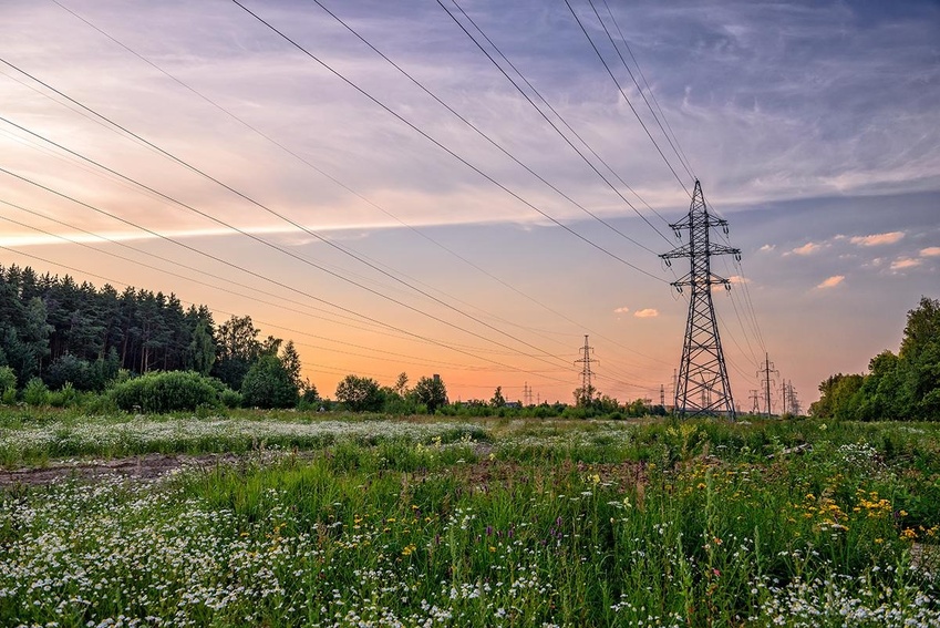 Southwire Creates Native Habitat Along Utility Corridors Southwire Creates Native Habitat Along Utility Corridors