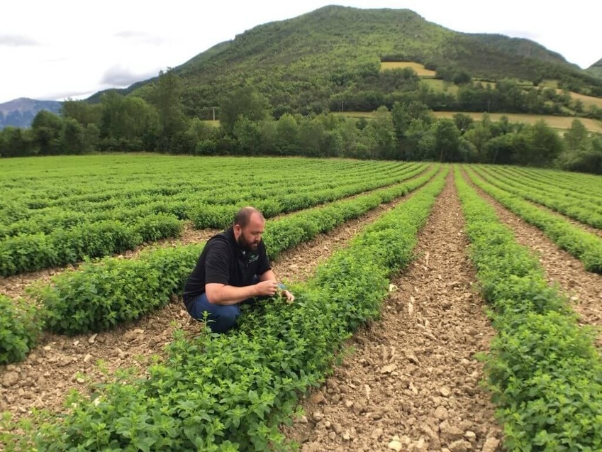 TEROVA Advances Sustainable and Transparent Spice Sourcing TEROVA Advances Sustainable and Transparent Spice Sourcing
