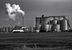 Ethanol Can Clean UpTo 14% Of Emission From The Atmosphere Ethanol Can Clean UpTo 14% Of Emission From The Atmosphere