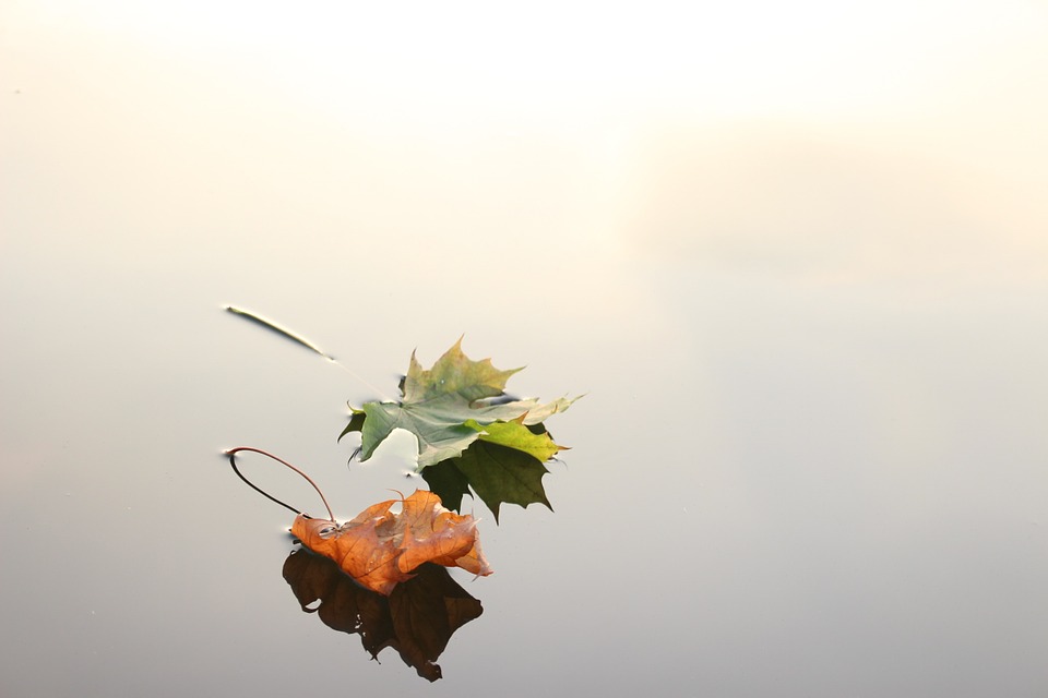 Antea Group Shows The Way In Managing Acquisition Related Environmental Liabilities
