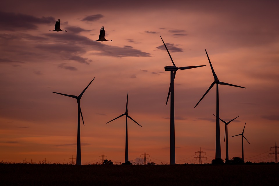 Investments Rise & Costs Falls In The Renewable Sector