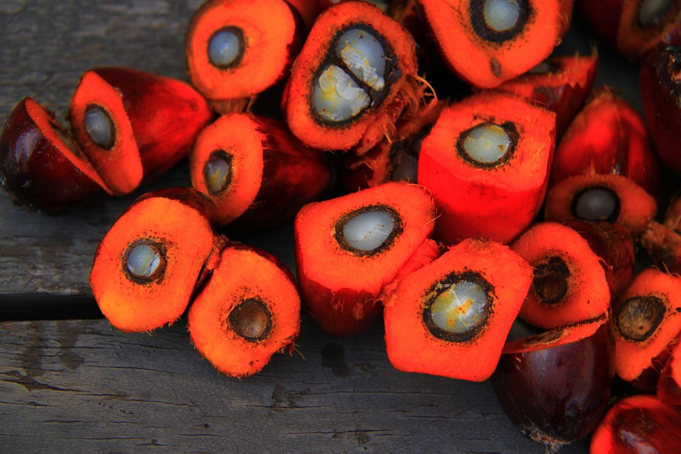 Sustainable Palm Oil Initiatives Calls For Collaboration