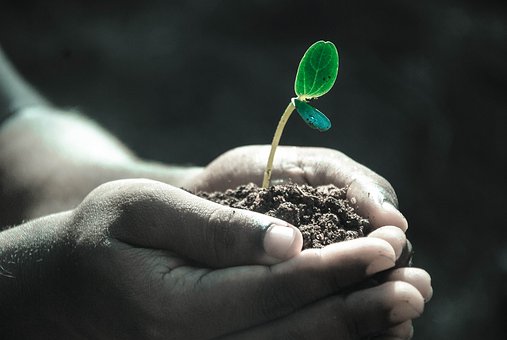NZ Super Fund Turns Its ‘$14 Billion Global Passive Equity Portfolio’ To Low Carbon
