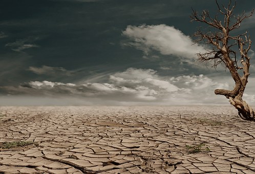 IMF Urges Rich Nations To Extend More Financial & Other Support To Low-Income Countries For Fighting Climate Change