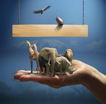 Connected Conservation Expands To Contain Wildlife Poaching