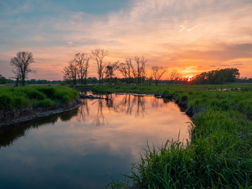 Consumer Energy’s ‘Natural Gas Pipeline Project’ Restores Pollinator Habitats