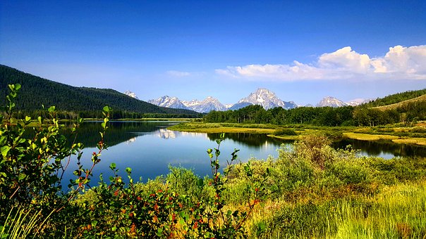 The First Ever Listed Carbon Credits of Colorado Ranches