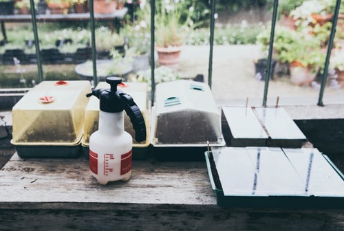 ‘Horticulture and Education Center’ Opens In School For The Blind ‘Horticulture and Education Center’ Opens In School For The Blind