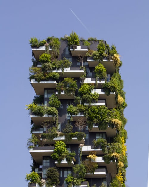 White Paper On Sustainable Building Goes Beyond A Certified Building