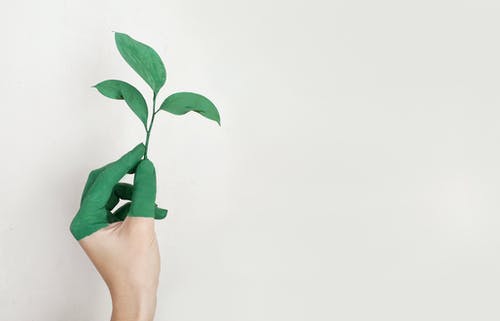 MilliporeSigma Named ‘Green Company of the Year’ By ‘BIG Awards for Business’