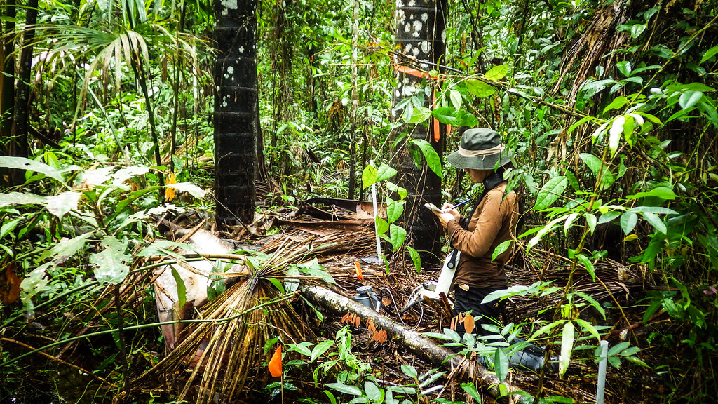 WWF’s Living Planet Report 2022 shows staggering loss of wildlife in Latin America and the Caribbean