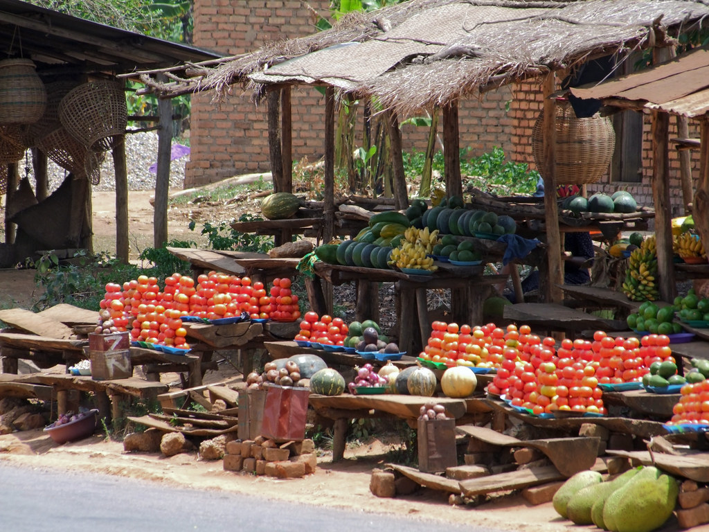 Afriagrimark is Cisco’s Global Problem Solver Challenge, People's Choice Award