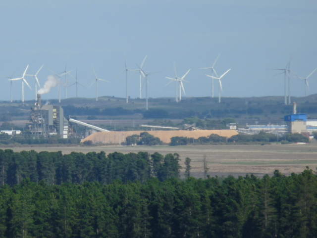 Employees of Kimberly Clark celebrate 150 anniversary Employees of Kimberly Clark celebrate 150 anniversary