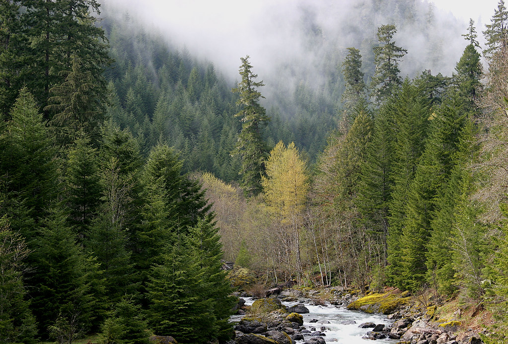 Conservation of forests areas and wildlife  receive $10M funding Conservation of forests areas and wildlife  receive $10M funding