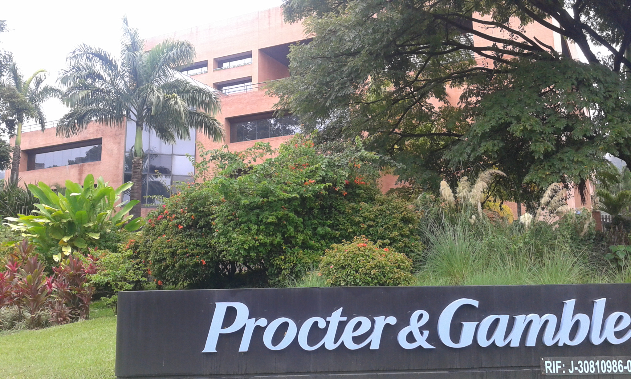 P&G’s inspiring culture of delivering inclusive employment to disabled employees