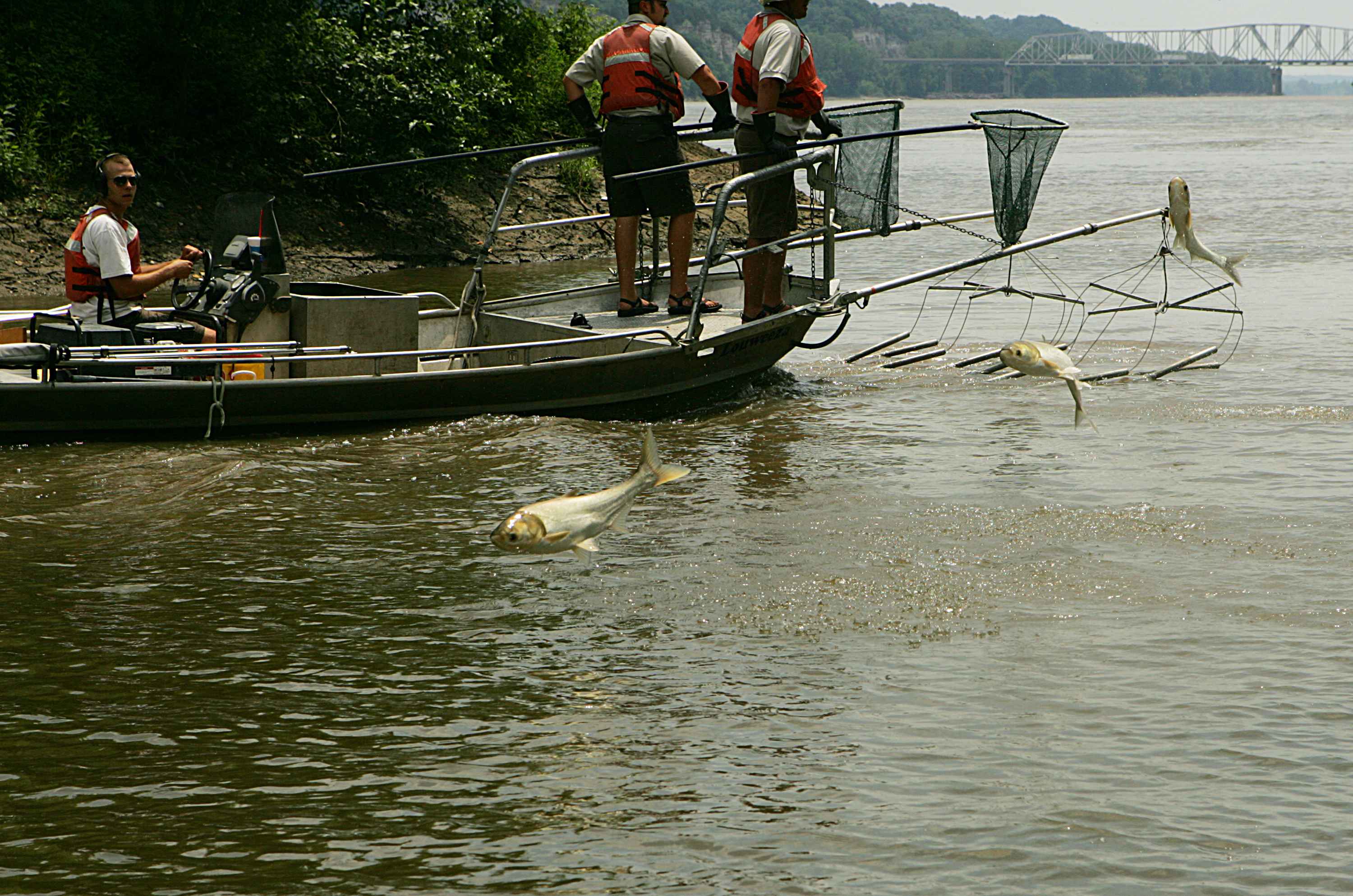 Supporting native fish in midwestern waterways