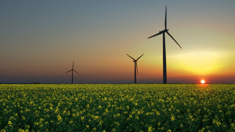 Financial Times names AccountAbility as top ESG Consultant for 2023 Financial Times names AccountAbility as top ESG Consultant for 2023