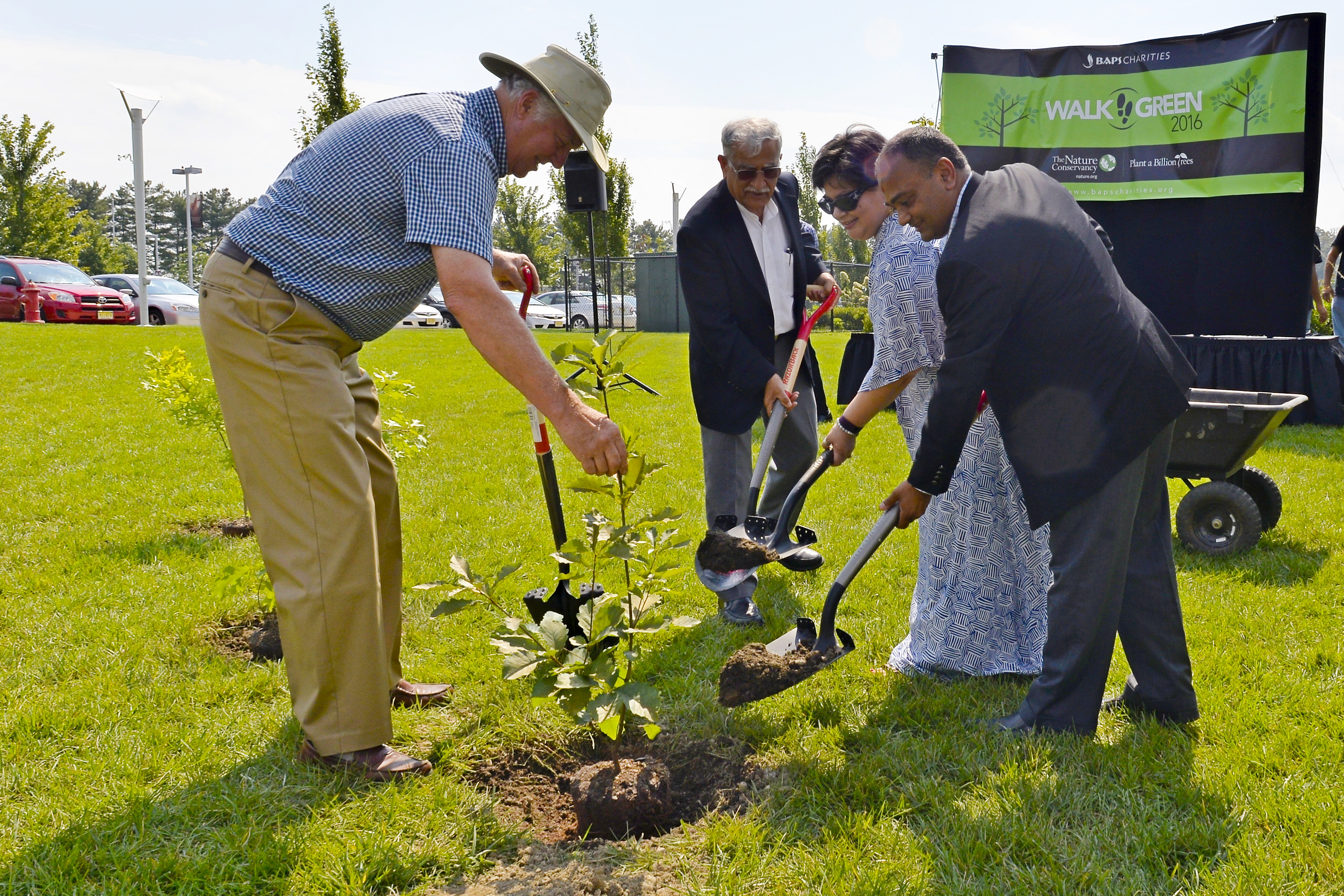 Arbor Day Foundation planted more than 500,000 trees in the United States in 2022