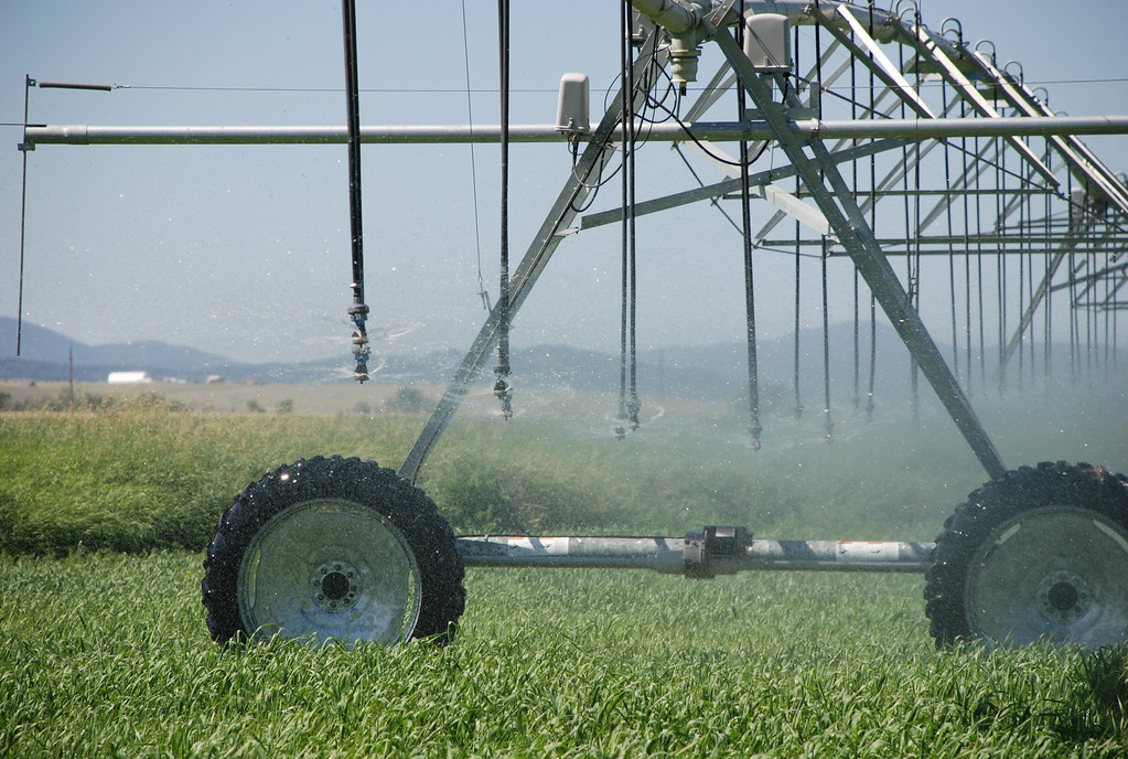 Betterment Harvest starts 2023 harvest 